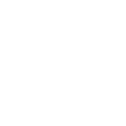 mortgage data analytics